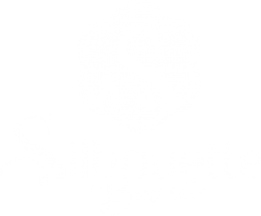 Silhouette Brasil Cursos